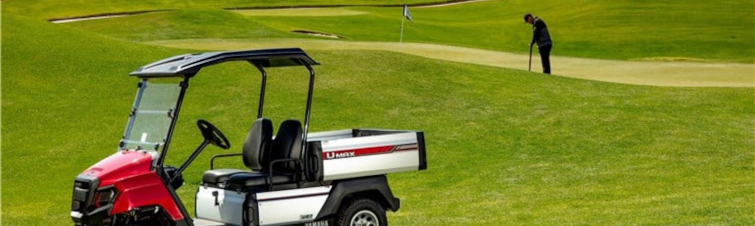 2023 Yamaha Golf Cars for sale in Golf Cars Plus, Plainwell, Michigan
